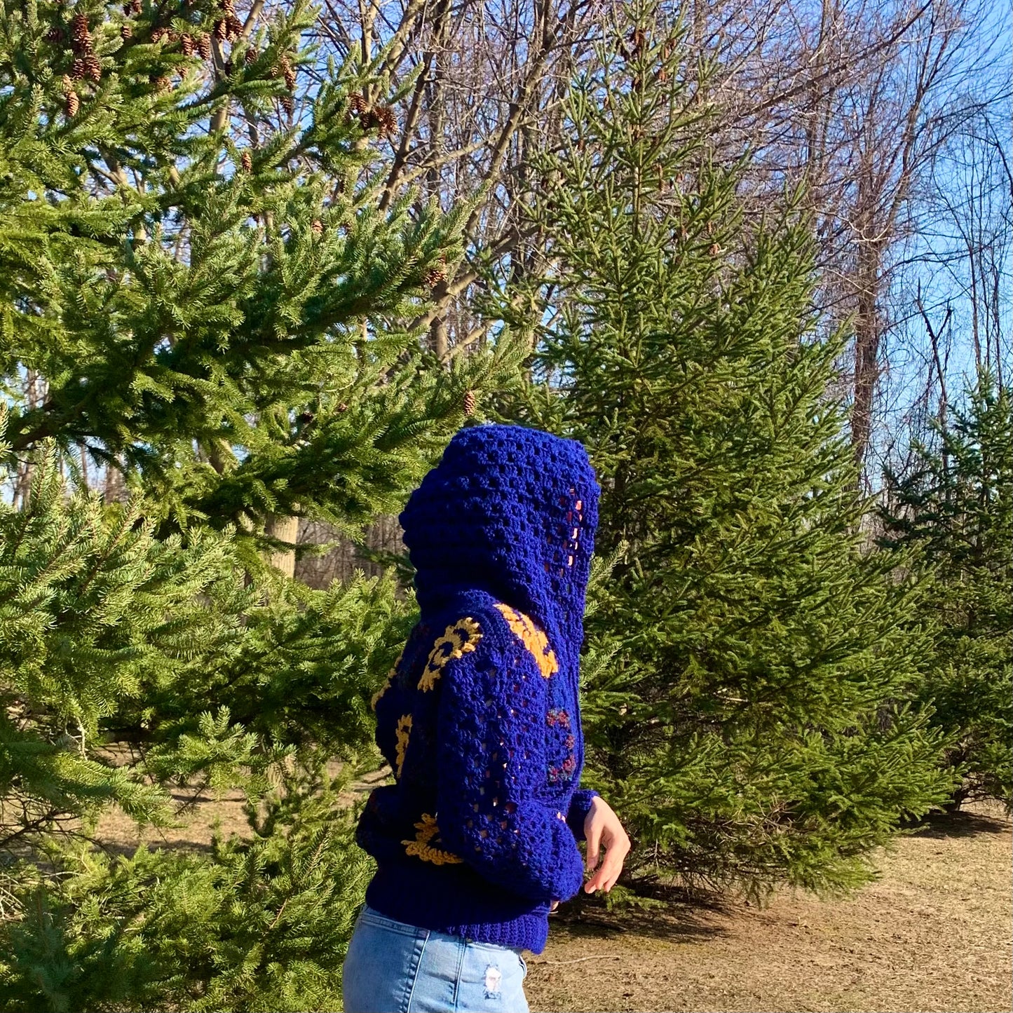 Celestial Sun Crochet Hoodie